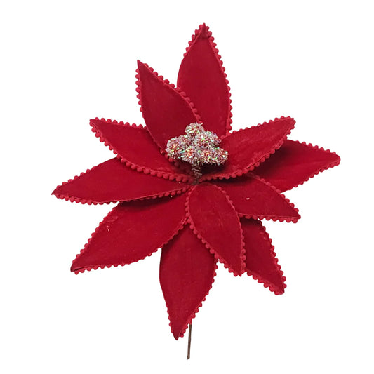 Poinsettia x1-Red-25901