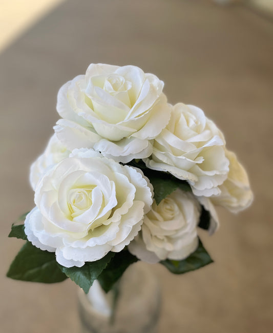 FANCY ROSE X 9-CRM-45501