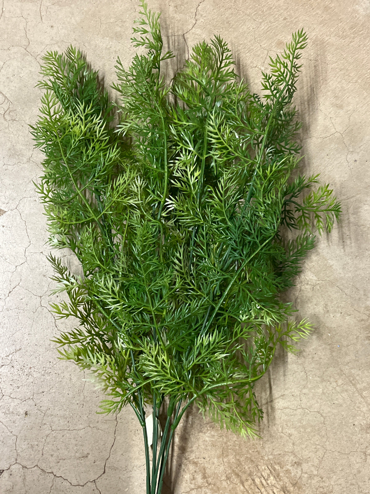 PLS LEATHER FERN X 7-GRN-59731