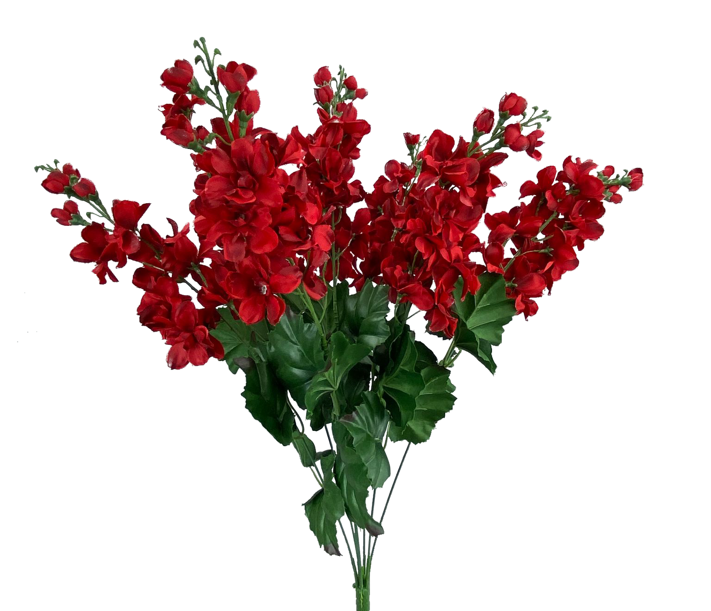 Red Color Fast Delphinium Bush x 7 H25 - 30440RD