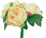 10 in Peach Peony Bouquet - 30561PH