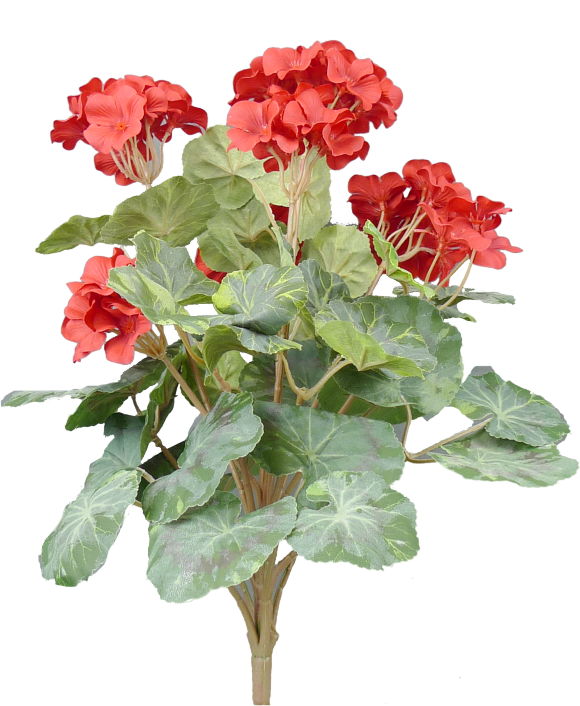 19 in Red Geranium Bush X15 - 30631RD