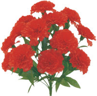 Red Color Fast Carnation Bush x 14 - 314113RD