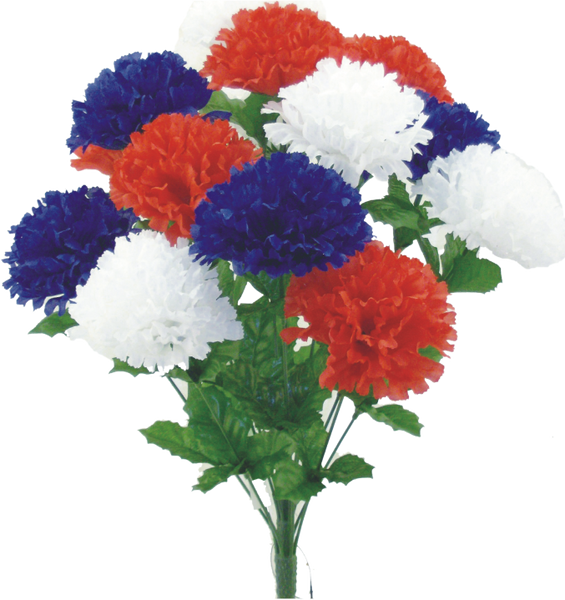 Red White Blue Color Fast Carnation Bush x 14 - 314228RWB