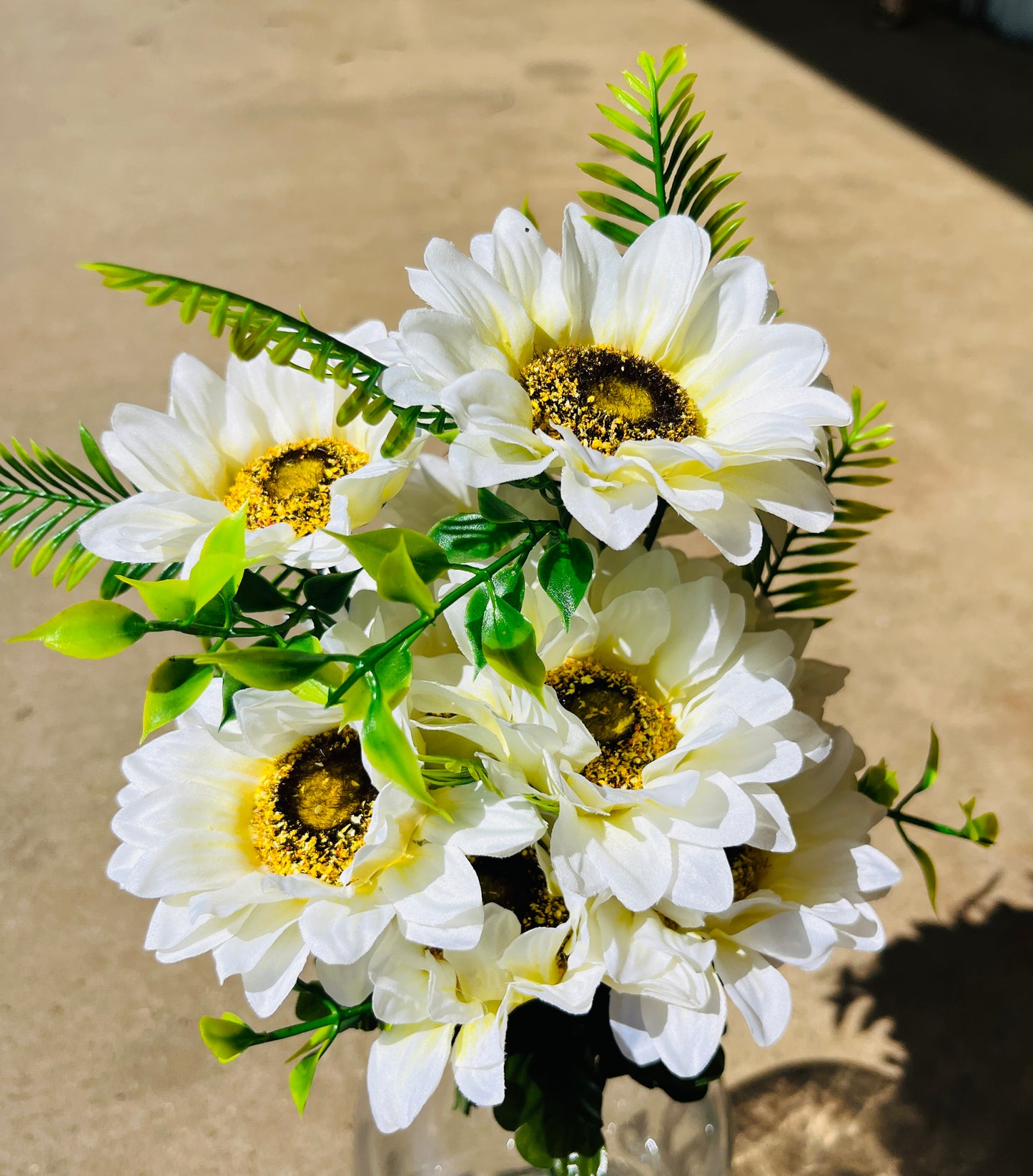 SUNFLOWER BUSH X 12-CRM-10922