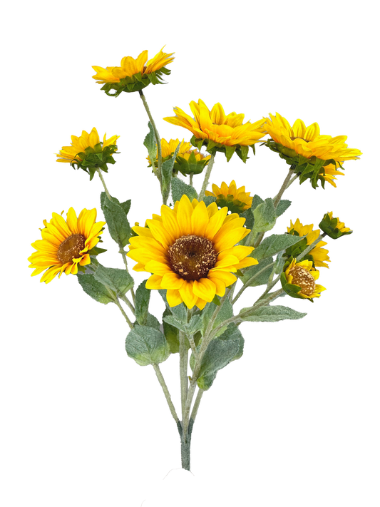 Color Fast Sunflower Bush x 7 H22 - 35134YW