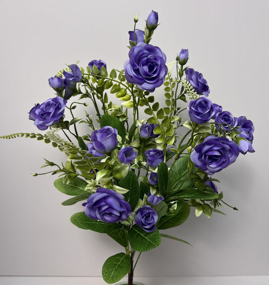 ROSE BUSH X 7 PURPLE - 37244