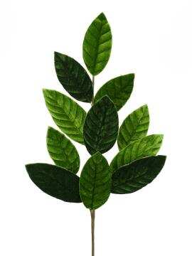 Velvet Magnolia Leaf Spray H25- 84602SP25
