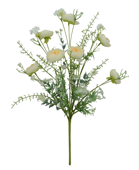 21.5 IN CREAM RANUNCULUS MIXED - 40218-CR