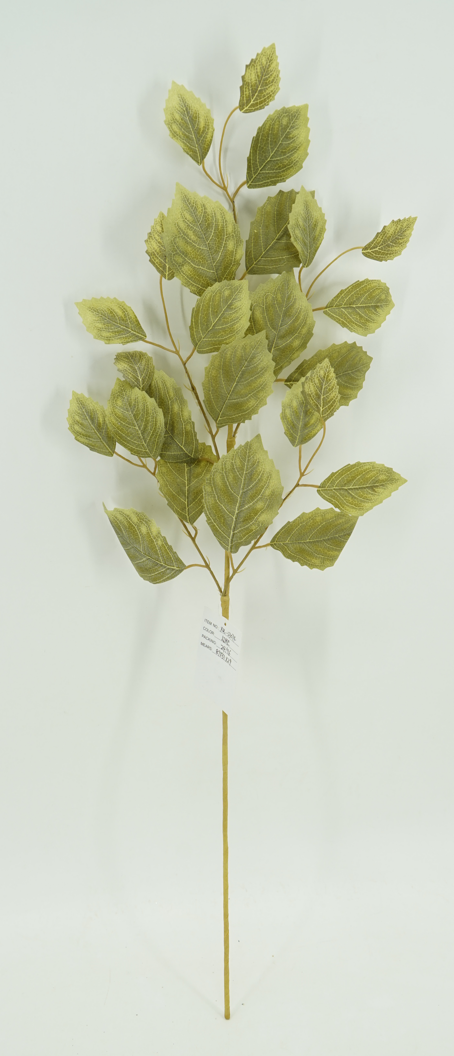30.5 IN BEECH LEAF SPRAY- 40488-LT.GN