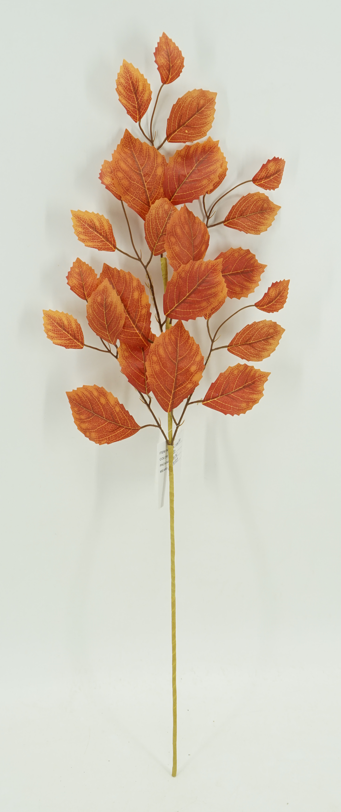 30.5 IN BEECH LEAF SPRAY- 40488-OR
