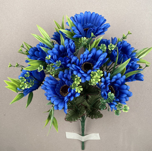 GERBER DAISY BUSH X12 BLUE - 41133