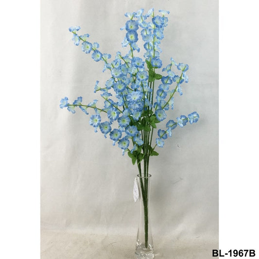 LIGHT BLUE SMALL MORNING GLORY BUSH X5 - 41669