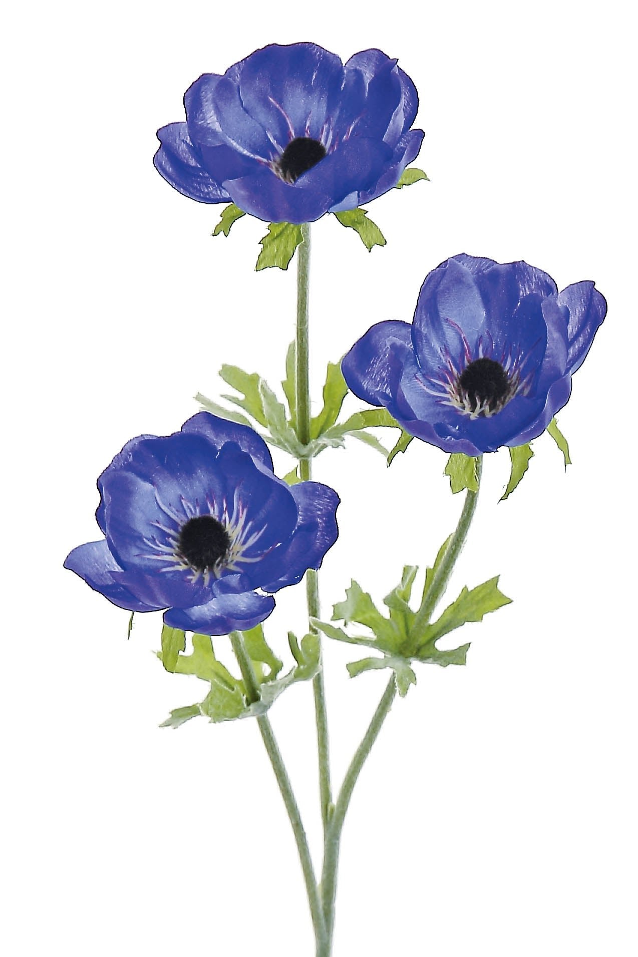 24" Blue Anemone x3 - 4260-B