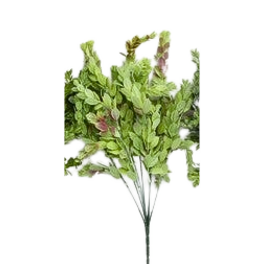 GREEN AND BEAUTY PLASTIC BOXWOOD - 43354