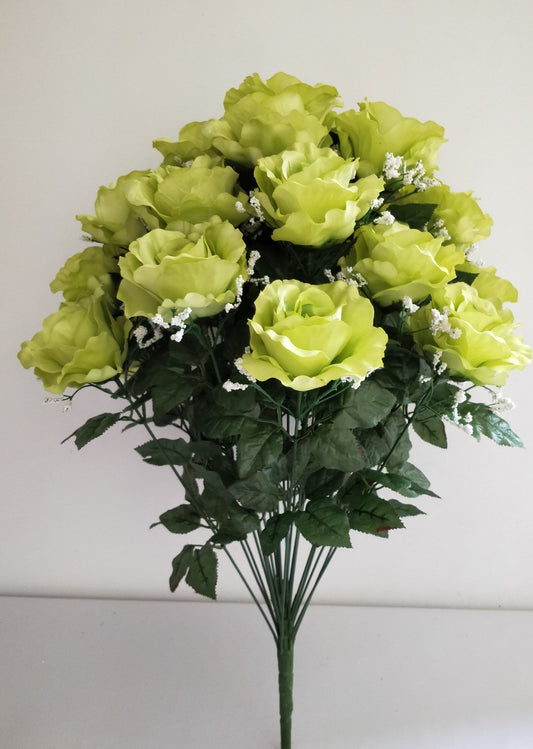 ROSE BUSH X24 (SATIN) WITH GYPSO GREEN - 45232