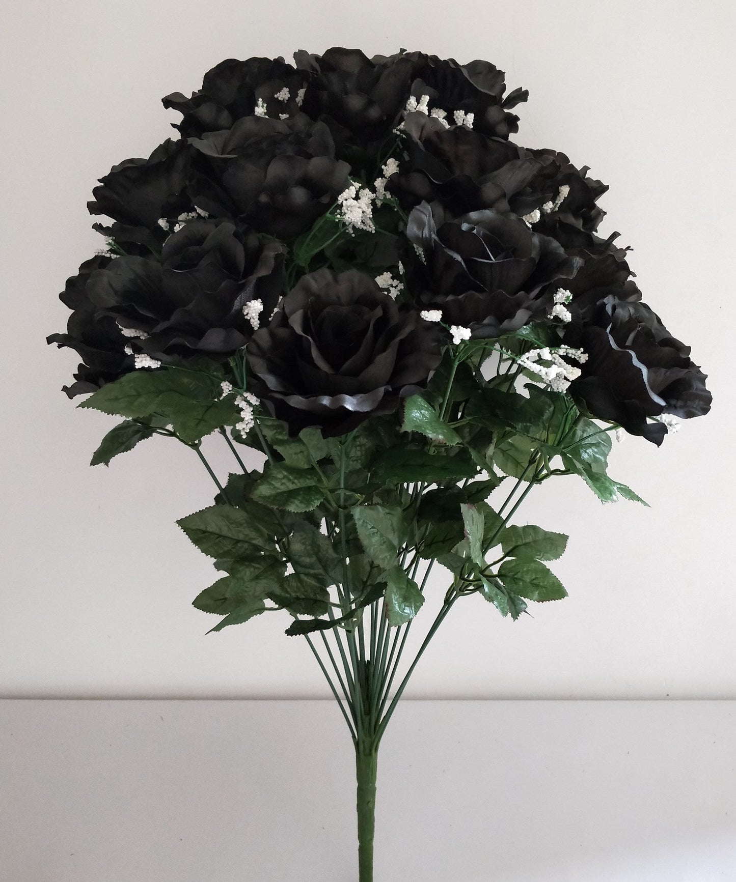 ROSE BUSH X24 (SATIN) WITH GYPSO BLACK - 45237