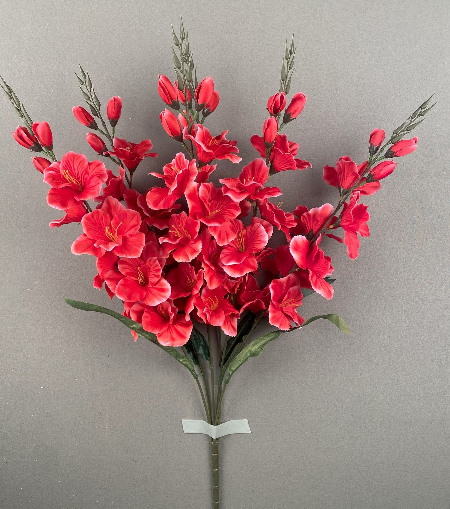 LARGE GLADIOLA BUSH X 6 BEAUTY - 46560