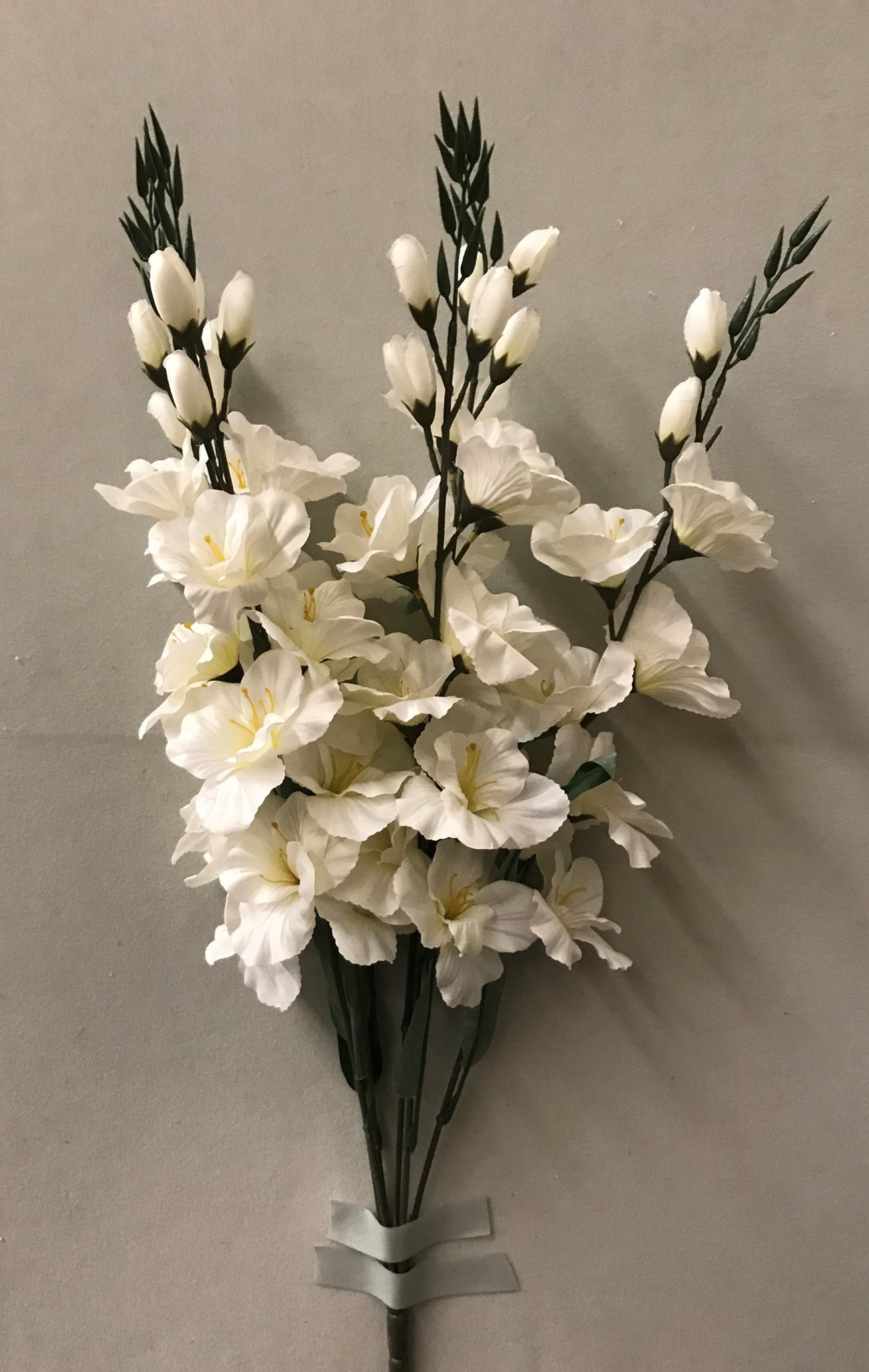 LARGE GLADIOLA BUSH X 6 CREAM - 46561