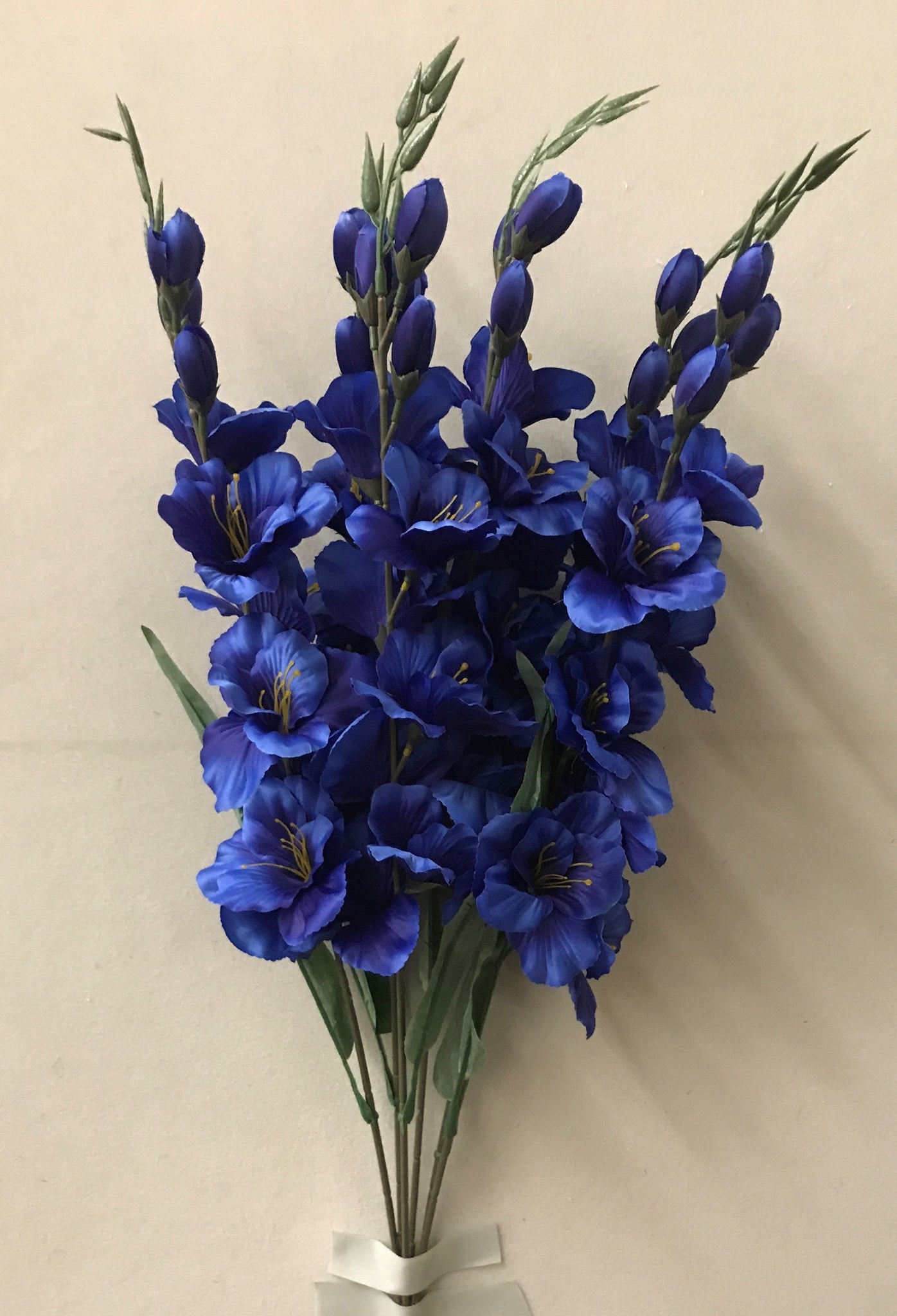 LARGE GLADIOLA BUSH X 6 BLUE - 46564