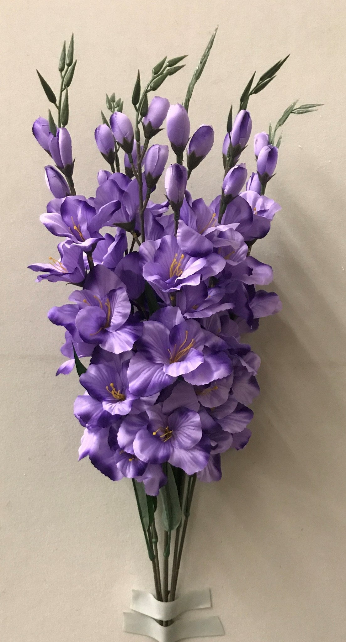 LARGE GLADIOLA BUSH X 6 PURPLE - 46566