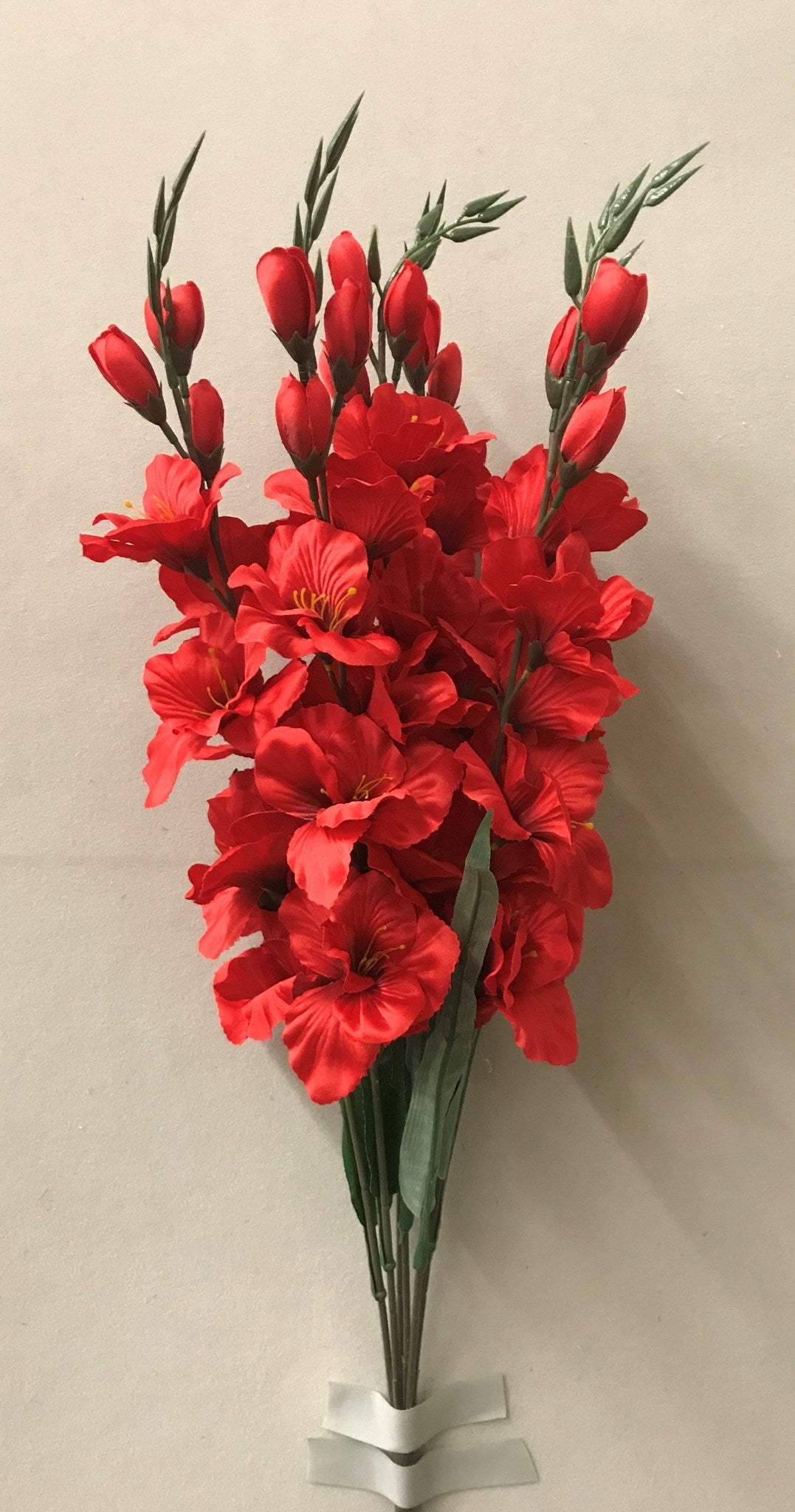 LARGE GLADIOLA BUSH X 6 RED - 46567