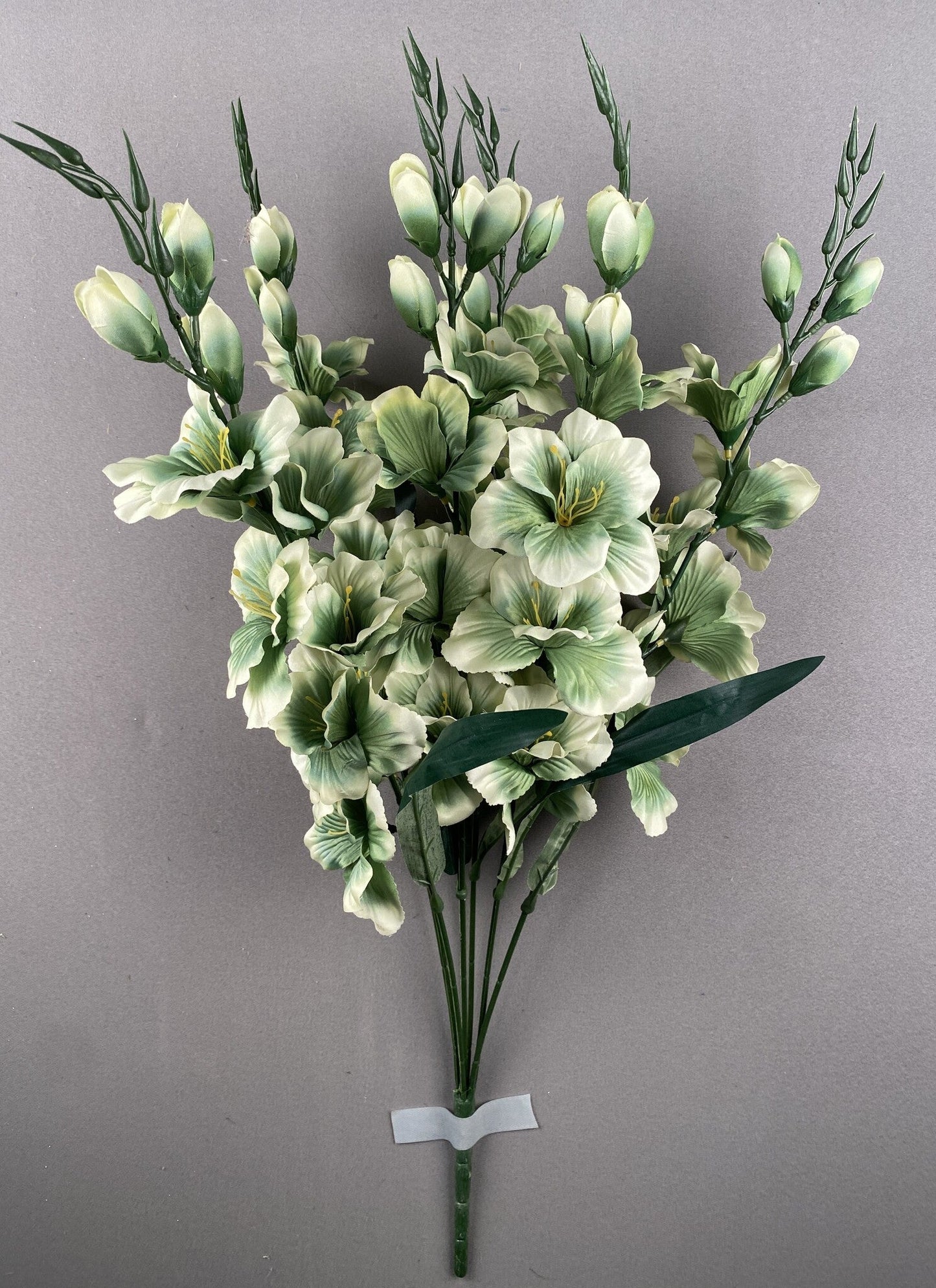 LARGE GLADIOLA BUSHX 6 GREEN - 46569