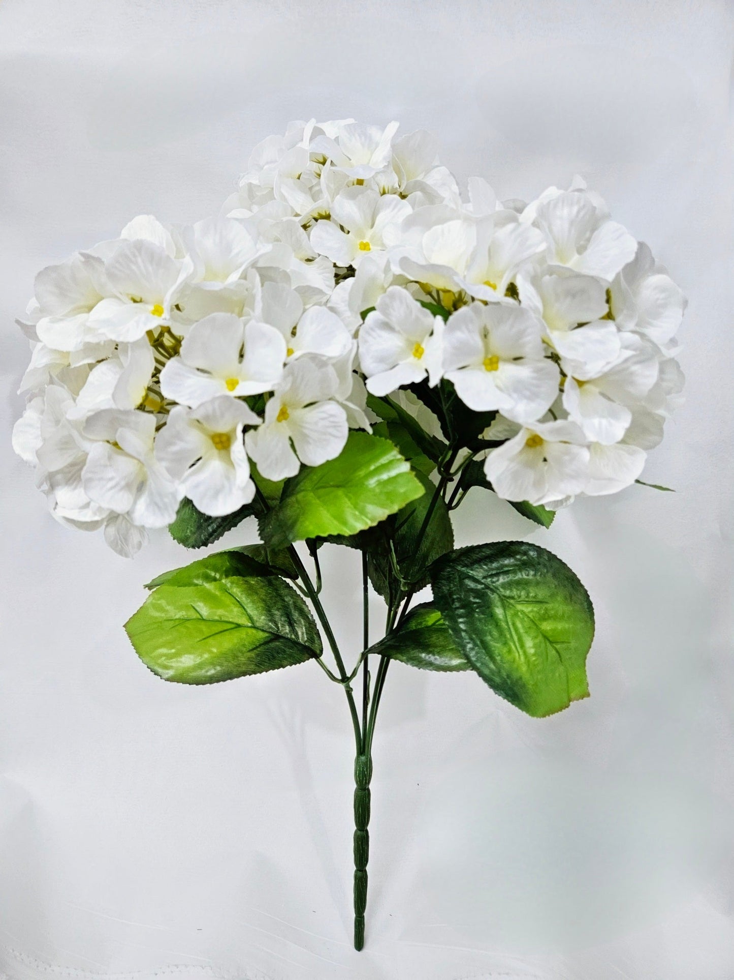 HYDRANGEA BUSH X 5 CREAM - 47321