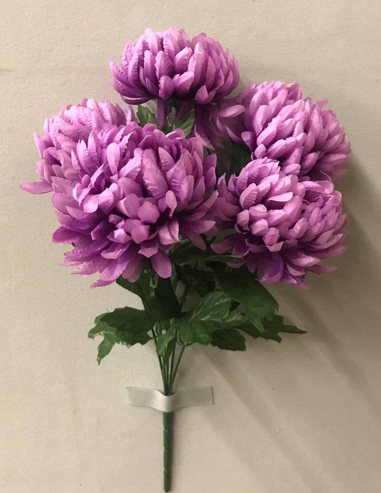 CHRYSANTHEMUM BUSH X5 PURPLE - 47426