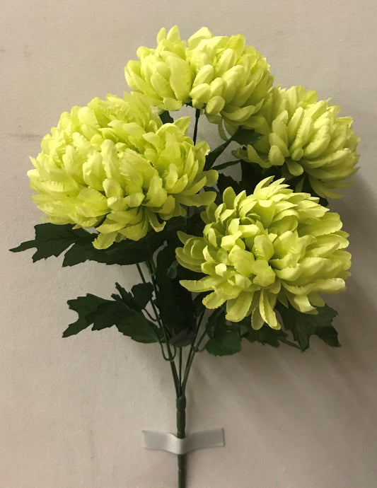 CHRYSANTHEMUM BUSH X5 GREEN - 47428