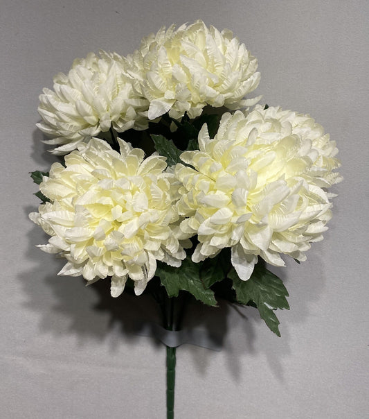 CHRYSANTHEMUM BUSH X5 WHITE - 47429