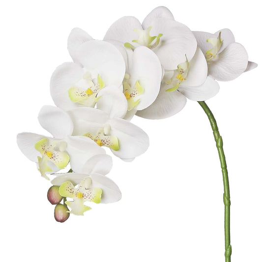 NATURAL TOUCH PHALAENOPSIS ORCHID x9, 35.8"; WHITE - 4920-W