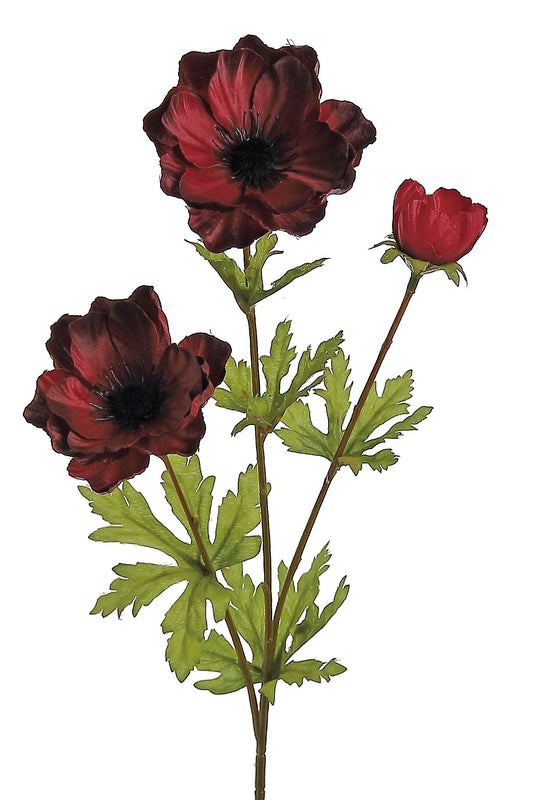 26" Burgundy Anemone x3 - 4981-BU