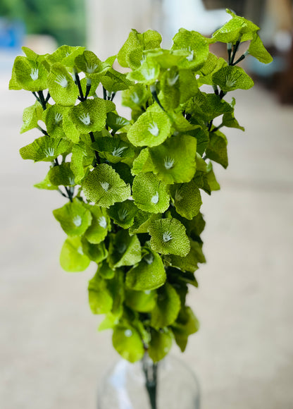 22" BELLS OF IRELAND BUSH X 7-GREEN-GPB253145