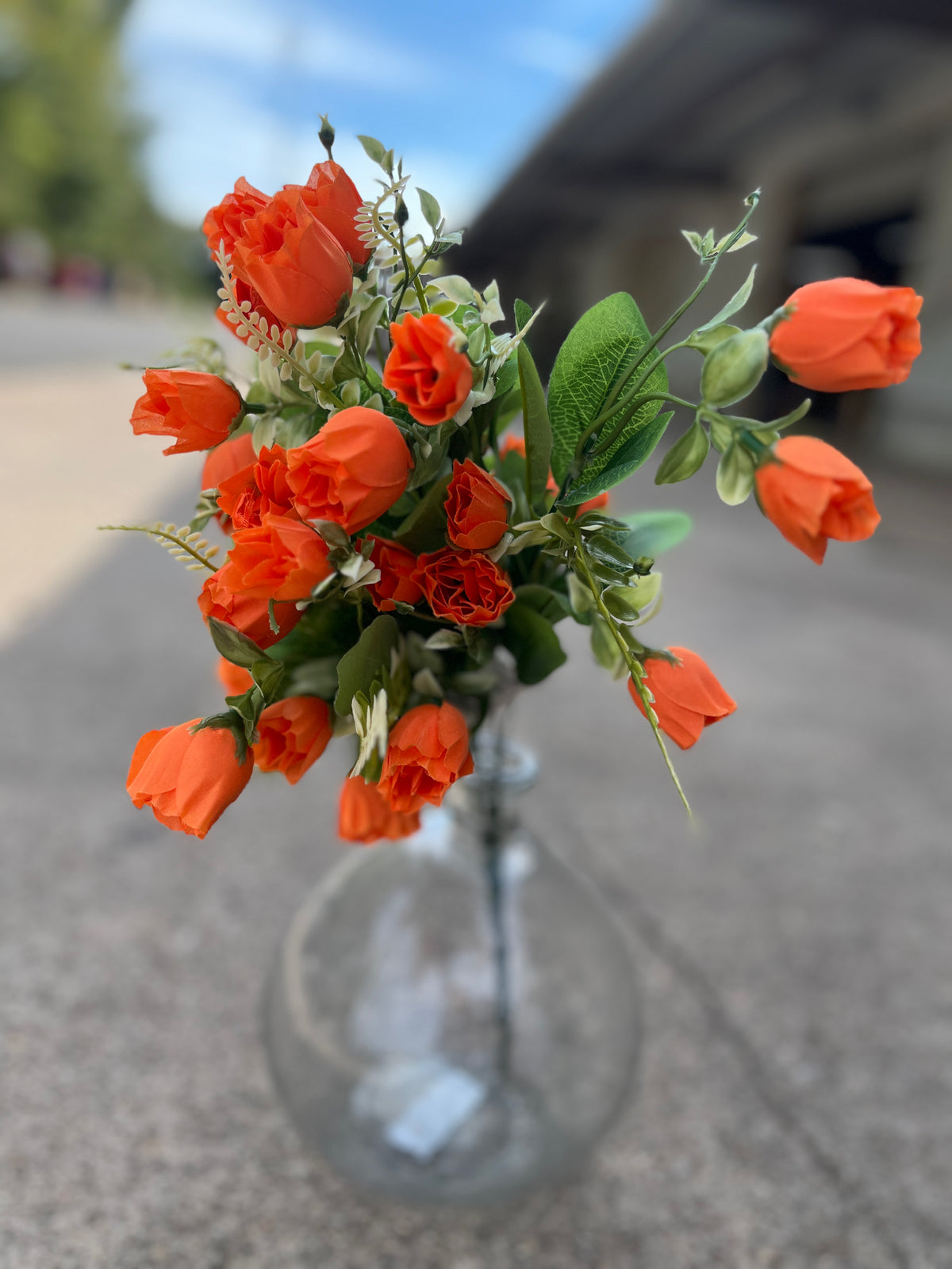 ROSE BUSH X 7-ORG-37407