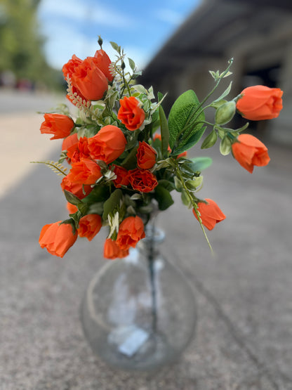 ROSE BUSH X 7-ORG-37407