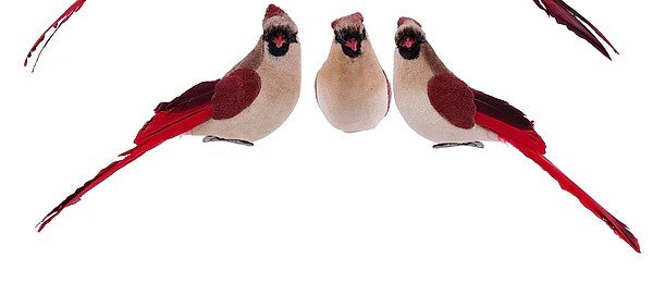 3 ASST 7"L X 3"H CARDINAL W/CLIP- ME723899