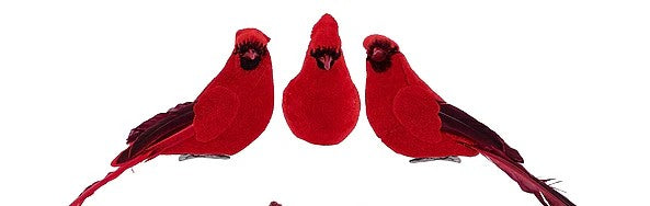 3 ASST 7"L X 3"H CARDINAL W/CLIP- ME723899