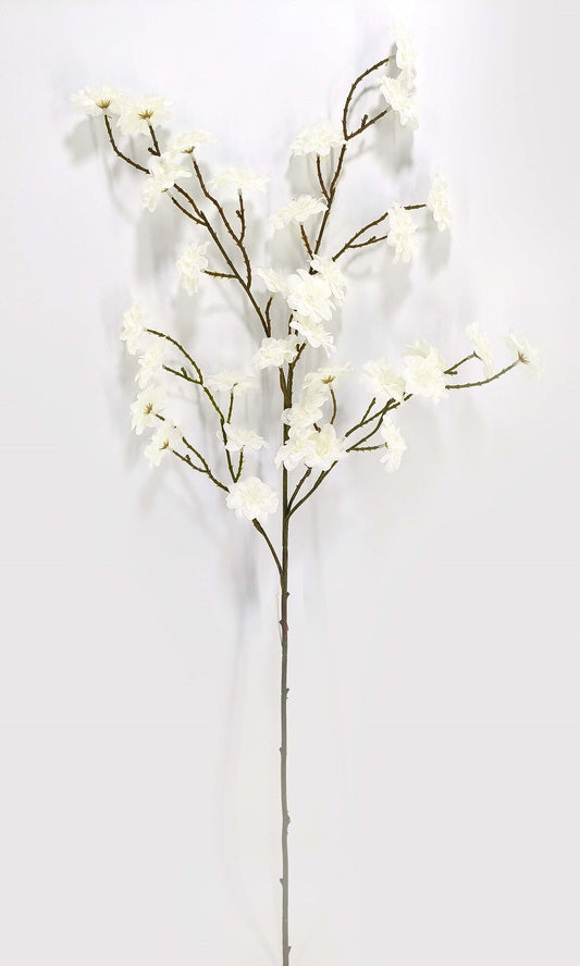 BLOSSOM SPRAY CREAM - 50131
