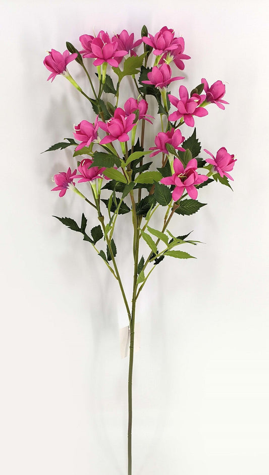 FUSCHIA SPRAY BEAUTY - 50163