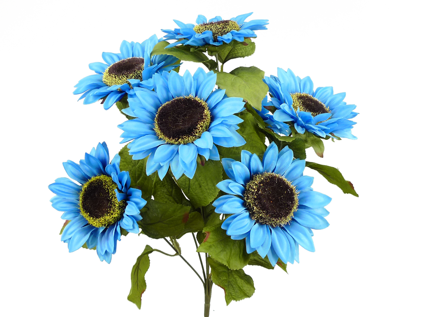 Blue Color Fast Sunflower Bush x 7 H22 - 50783BL