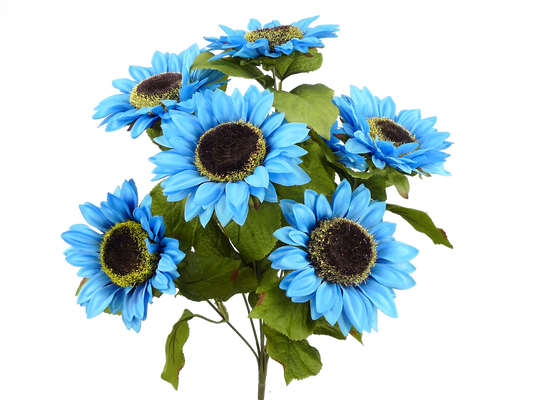 Blue Color Fast Sunflower Bush x 7 H22 - 50783BL