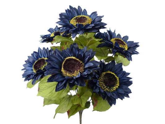 Navy Blue Color Fast Sunflower Bush x 7 H22 - 50783NYBL