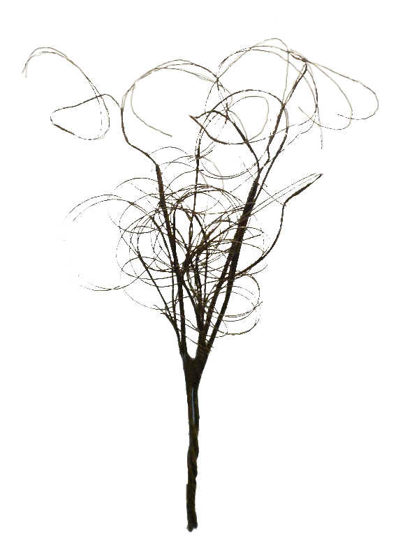 28" Twig branch - 53952