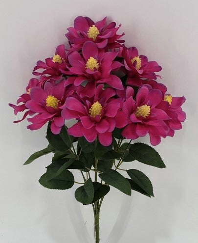 SMALL MAGNOLIA BUSH X 9 BEAUTY - 55132