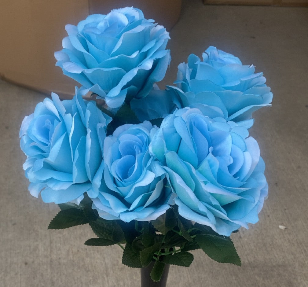 OPEN ROSE X 7-AQUA-55249