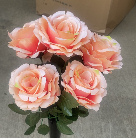 OPEN ROSE X 7-PEACH-55250