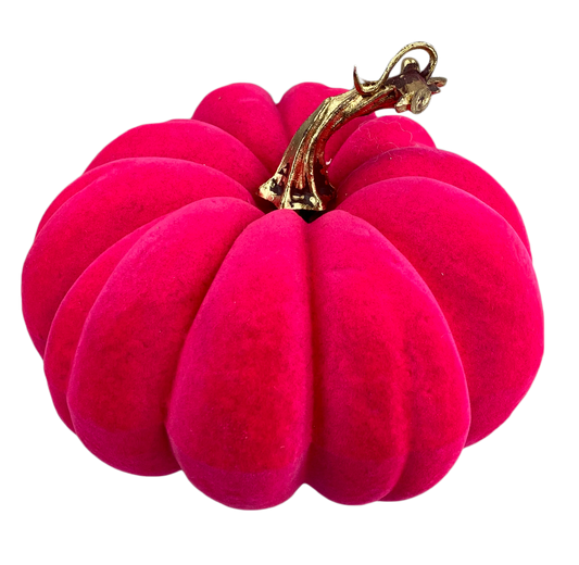 Flocked Pumpkin H4xDIA7-HotPink-56954HTPK