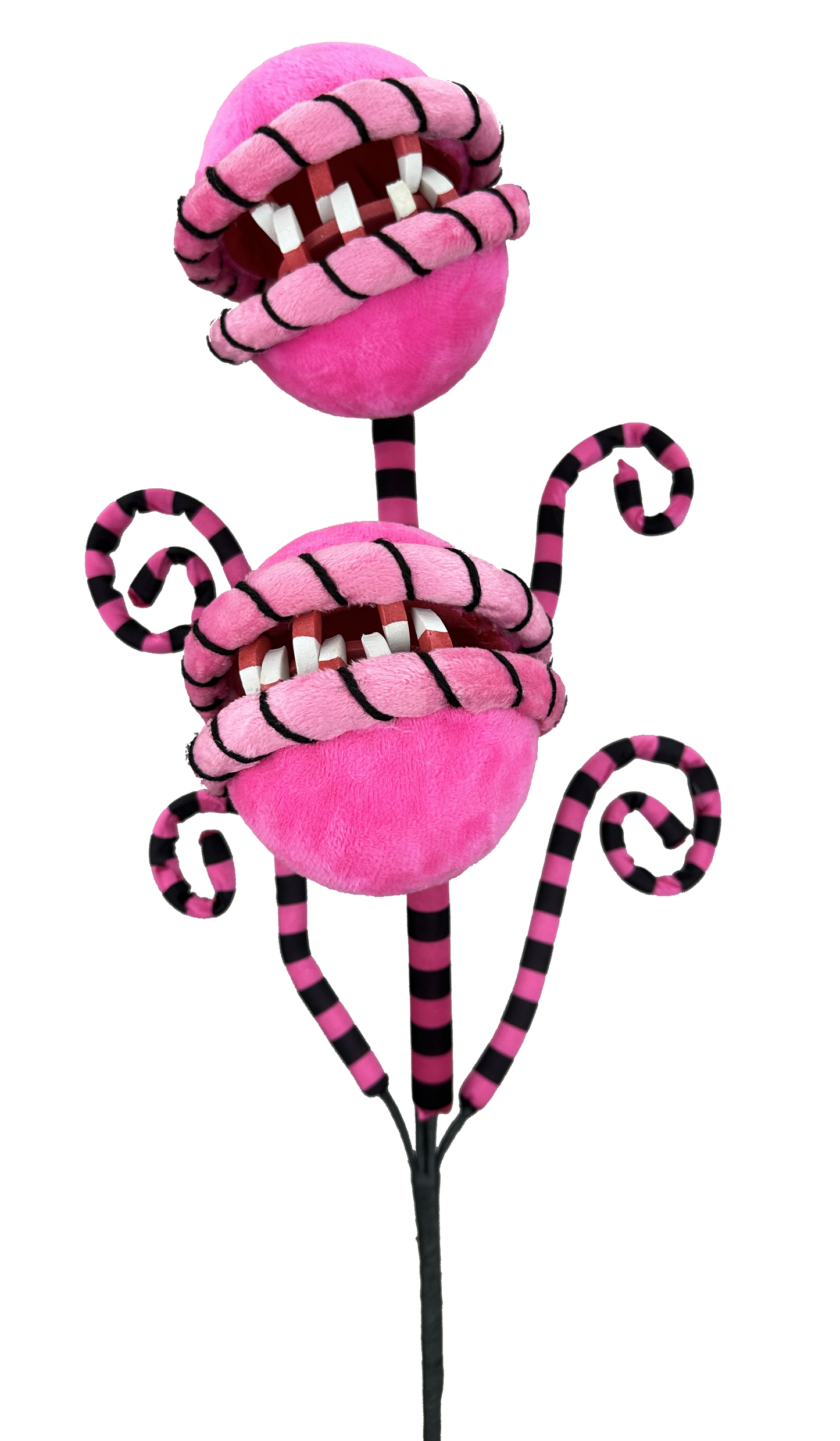 Pink Carnivorous Plant Curly Spray x 2 H26xDIA5 - 57142PK