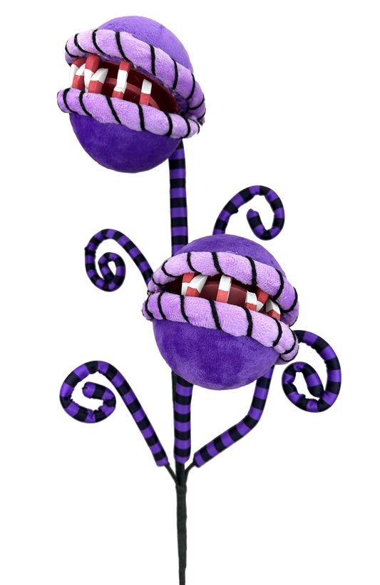 Carnivorous Plant Curly Spray x 2 H26xDIA5-Purple-57142PU
